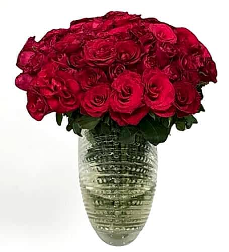 Vazoda 100 Kırmızı Gül