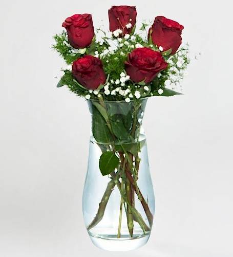 Vazoda 5'li Kırmızı Gül