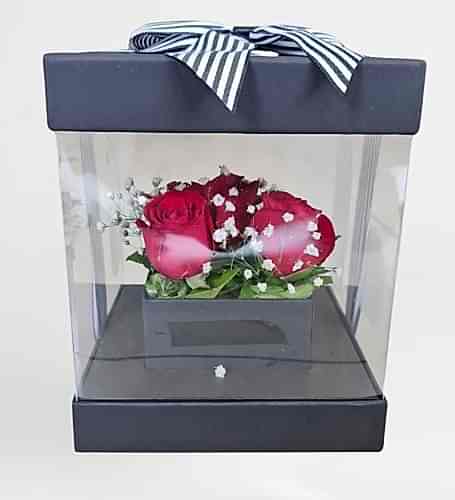 Şefaf Kutuda 5 Kırmızı Gül